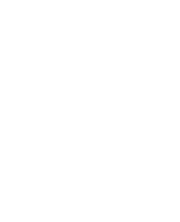 65+